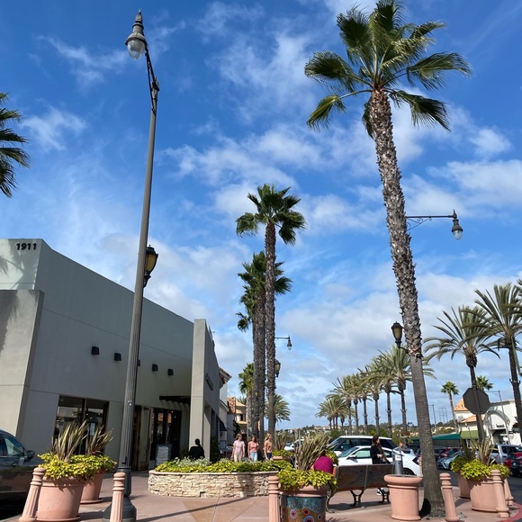 Meet your Posher, Ali - Picture 8 of 12